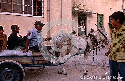 Palestinians riding on a donkey cart, Palestine Editorial Stock Photo