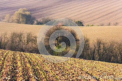 The palette of autumn agricultural field Stock Photo