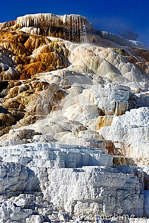 Palette Springs. Devils thumb at the Mammoth Hot Springs. Yellowstone National Park. Wyoming. USA. Stock Photo