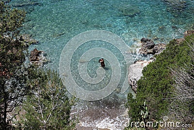 Palinuro â€“ Bacio alla spiaggia del porto Editorial Stock Photo