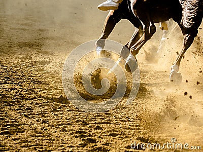 Palio di Asti horse racing details of galloping horses legs on hippodrome Stock Photo