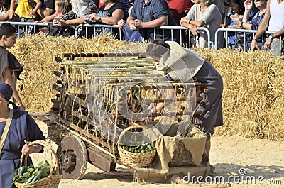 Palio of the donkeys of Alba (Cuneo-Italy) and the International White Truffle Fair Editorial Stock Photo