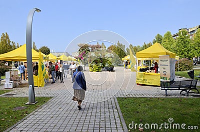 Palio of the donkeys of Alba (Cuneo-Italy) and the International White Truffle Fair Editorial Stock Photo