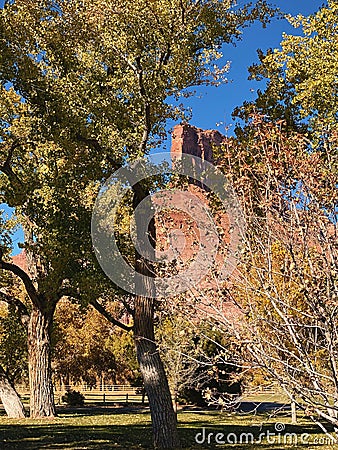 Palisade Through Autumn Leaves Stock Photo