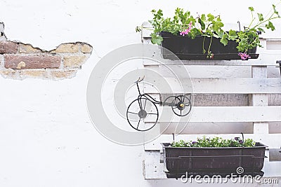 Pallet ideas for gardening Stock Photo