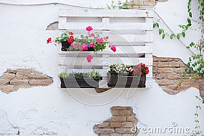 Pallet ideas for gardening Stock Photo