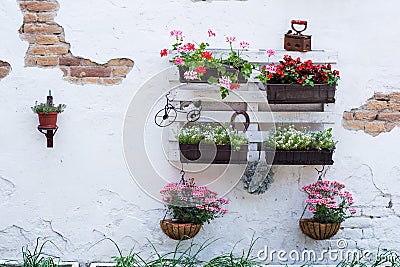 Pallet ideas for gardening Stock Photo