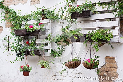 Pallet ideas for gardening Stock Photo