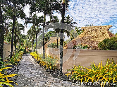 A palm alley on a tropical resort Editorial Stock Photo