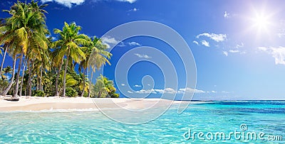 Palm Beach In Tropical Paradise Stock Photo