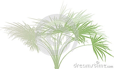 Palm branch . Vector Illustration