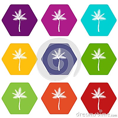 Palm butia capitata icon set color hexahedron Vector Illustration