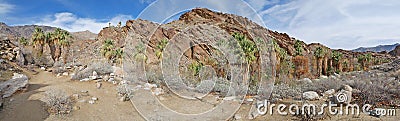 Palm Canyon Panorama Stock Photo