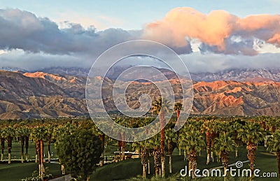 Palm Desert California golf resort palm trees mountains Stock Photo