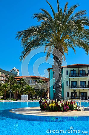 The palm and flower bed near the blue pool, Gypsophilia hotel, Alania, Turkey Editorial Stock Photo