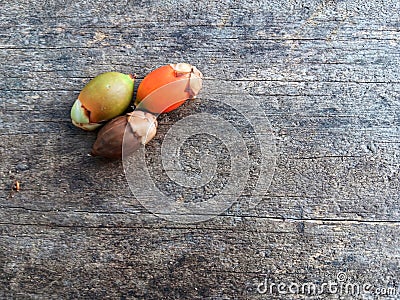 Palm fuits on the wooden table Stock Photo