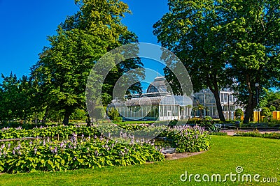 The palm greenhouse at the Garden Society of Gothenburg in Swede Editorial Stock Photo