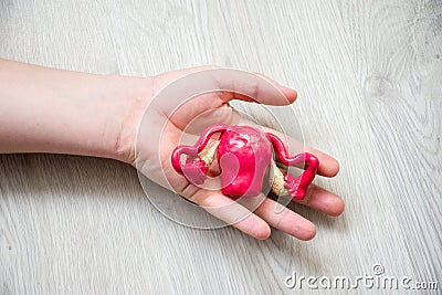 In palm of hand lying on wooden floor, is anatomical model of uterus with ovaries. Concept photo depicting uterus illness such as Stock Photo