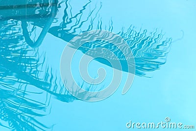 Palm leaf reflecting in the water Stock Photo