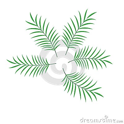 Palm leaf set vector isolated illustration Vector Illustration