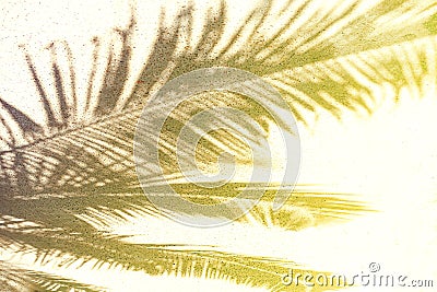 Palm leaf shadow on a white sand on tropical beach. Stock Photo