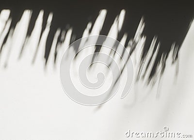 Palm leaf shadows Stock Photo