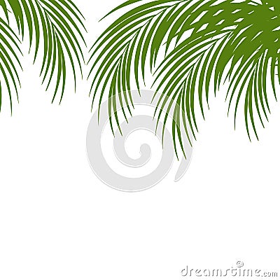 Palm leaf silhouettes background. Tropical leaves. Vector Illustration
