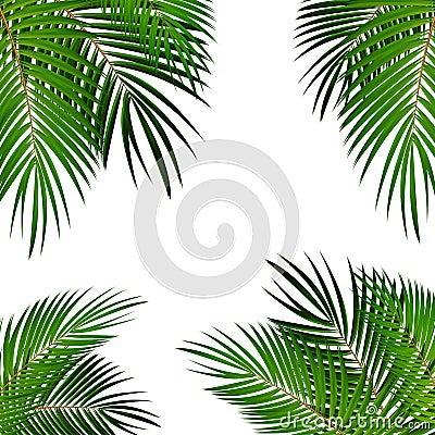 Palm Leaf Vector Background Illustration Vector Illustration