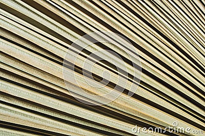 Palm leaves background macro. Dry brown textured leaf detail. Exotic palm tree dried surface pattern Stock Photo