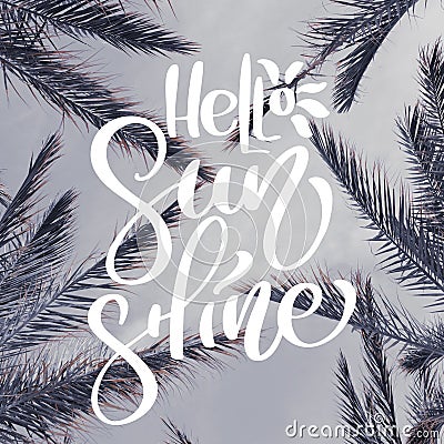 Palm leaves on beach. Template for social networks instagram story. Hand drawn Motivation Quote text Hello Sunshine on photo. Stock Photo