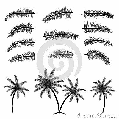 Palm leaves collection. Tropical palm trees with leaves. Black silhouettes isolated palm trees on white background Vector Illustration