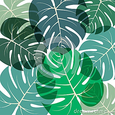 Palm leaves pattern Vector illustration Vector Illustration