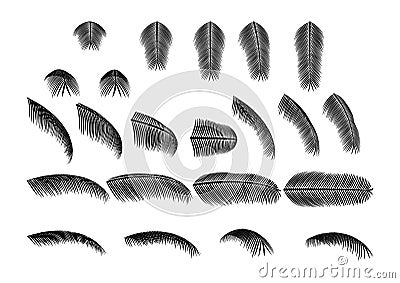 Palm Leaves Silhouettes in Different Views Vector Illustration