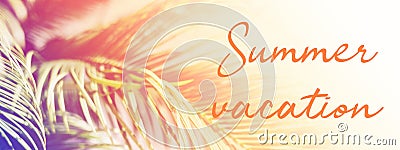 Palm leaves in sunlight with inscription Summer vacation. Stock Photo