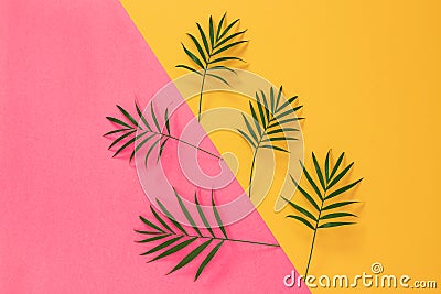 Palm leaves on vibrant pink and yellow background Stock Photo