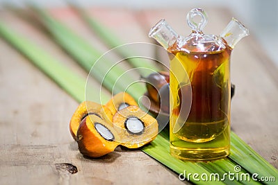 Palm oil fruits Stock Photo