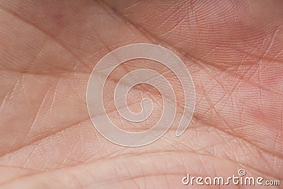Palm pattern macro shot . fingerprinting concept Stock Photo