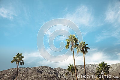 Palm Springs Vintage Movie Colony Palm Trees and Mountains Stock Photo