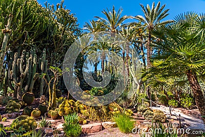 Palm and succulent garden Huerto del Cura in Elche, Spain Stock Photo
