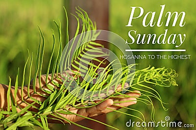 Palm Sunday concept with Christian inspiration quote - Hosanna to the highest. With fern or palm leaf in hand. Stock Photo