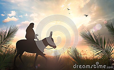 Jesus Christ riding donkey on meadow sunset Stock Photo