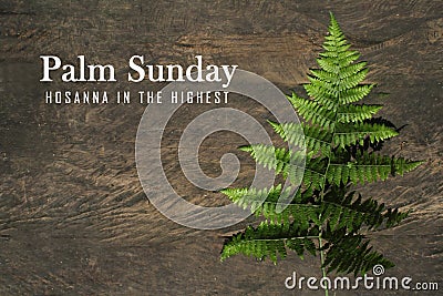 Palm Sunday. Hosanna in The Highest. With green fern leaf on natural rustic wooden table background. Happy Palm Sunday. Stock Photo