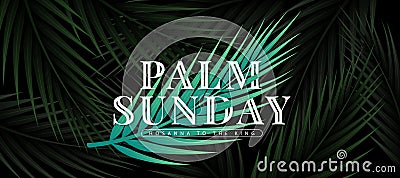 Palm sunday - White text on green palm leave and abstract dark palm leaves texture background vector design Vector Illustration