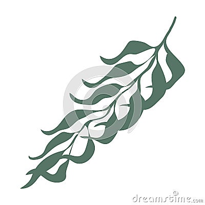 Palm Three Leaf Illustration Vector Illustration