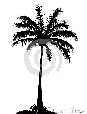 Palm tree Cartoon Illustration