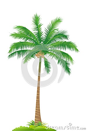 Palm tree Vector Illustration
