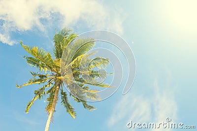 Palm tree and blue sky retro toned image. Tropical nature idyllic photo for banner background. Stock Photo