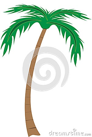 Palm Tree Illustration Cartoon Illustration