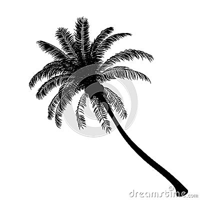 Palm tree isolate on white background Vector Illustration