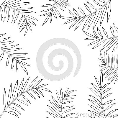 Palm tree leaves border 1 Vector Illustration